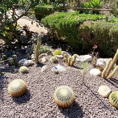 منزل الضيف Borge  في Cortijo Lagar De Luisa المظهر الخارجي الصورة